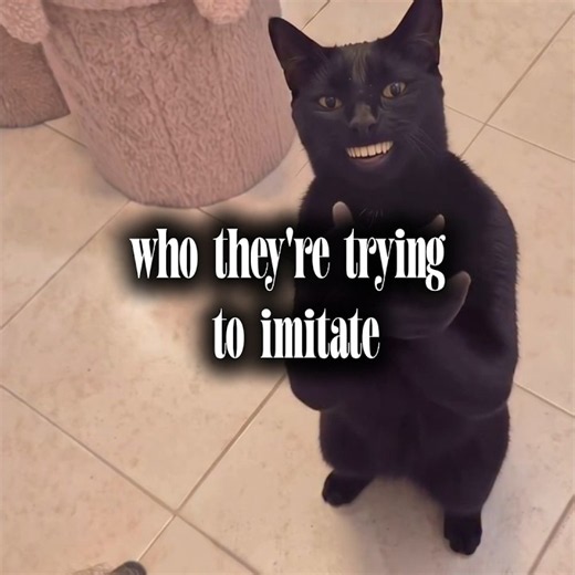 Clapping Cat Edit | Black Clapping Cat | MUMKIEDITZ |