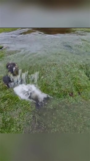 Natural Spring Formation: Watch a Stream Be Born