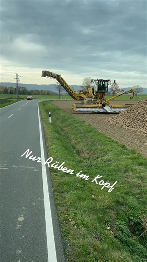 Exploring the World of Sugar Beets: From Harvesting to Syrup Making