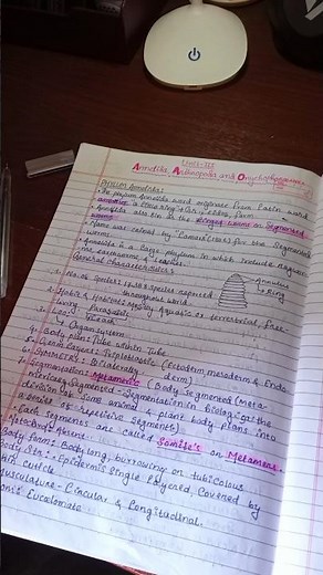 Evening study vlog 📖🧿🌱 as a B.Sc student 🫡 #youtubeshorts #shorts #minivlog #study #trending