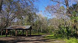 Spring Hammock Preserve