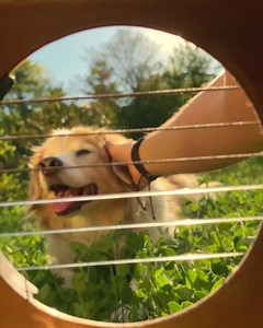 762K views · 43 reactions | Landslide by Fleetwood Mac on the Guitar. Today is Stevie Nicks from Fleetwood Mac's birthday  | AcousticTrench | Facebook