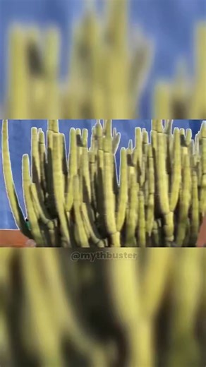 "Car Explodes in Movies – But Does It in Real Life?" | mythburst