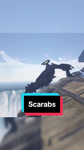 Exploring the Mysterious World of Halo Scarabs
