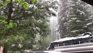 15K views · 280 reactions | Snow is accumulating in McCall! | Idaho News 6 | Facebook