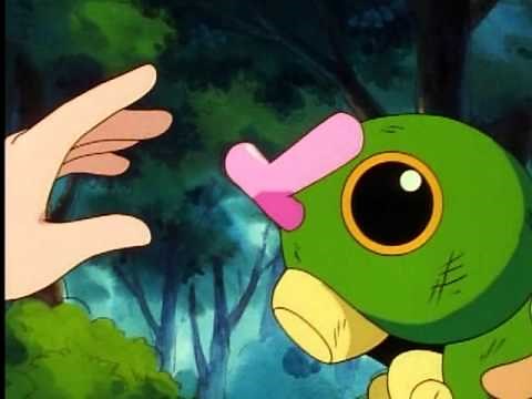 Misty touches Caterpie
