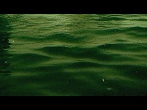 Another Crab's Treasure_ Royal shell splitter