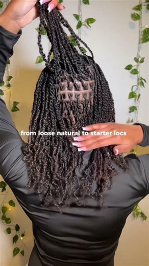 from loose natural to starter locs 🖤 this is your sign to start your locs #locs #starterlocs