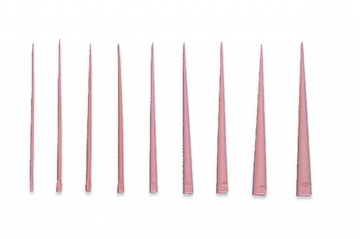 Gutta Percha Accessory Points