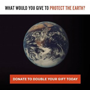 296 reactions · 53 shares | Donate to Earthjustice to help us take on — and win — a record number of environmental legal battles in these final weeks of 2020 and beyond. If you donate NOW, your new or increased gift will be MATCHED. Help us keep fighting today! | Earthjustice | Facebook