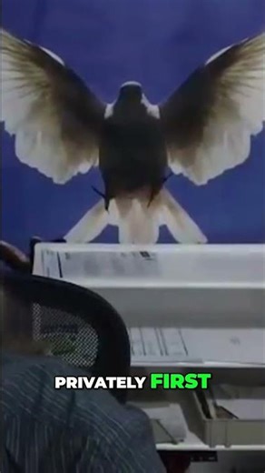 Negotiate First! How to Settle a Deal Without Going to Court #shorts