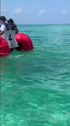 Excursion In Princess Cays Bahamas #bahamas #princesscays #beach #nassau #cruise #carnivalcruise