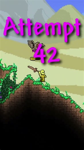 What is Hardcore Co-op? #terraria #terrariamastermode #shorts