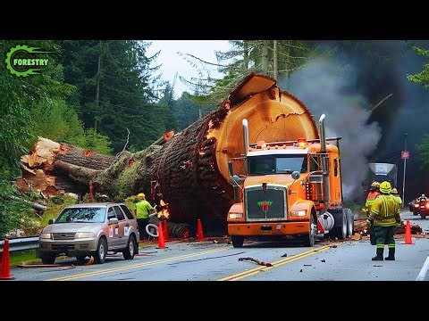 Dangerous Idiots Fastest Truck & Heavy Equipment Fails | Extreme Oversized Truck Transport #10
