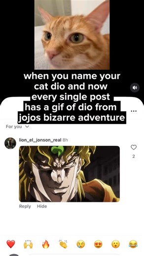 Dio on Instagram: "Follow @kitty.dio and leave a jojo meme"
