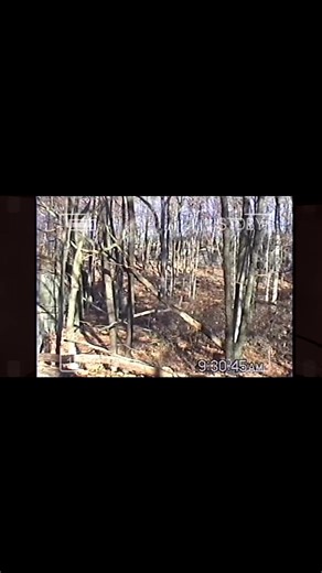 In 1999 I was laying down the footage with the old school camera. This was how it all began. | Corey's Stories