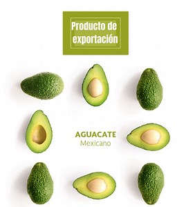 ¿Qué es el comercio y cómo funciona? - Geografía Cuarto de Primaria