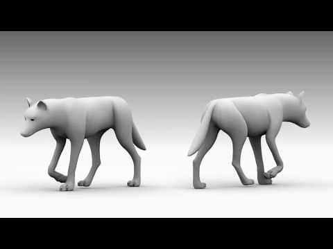 Wolf Walk Cycle Animation