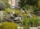 An in-depth overview of the Chelsea Physic Garden in London