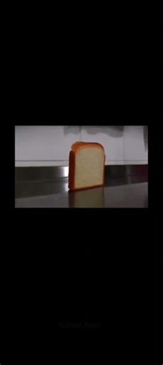 Bread falling meme #1
