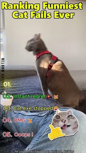 Ranking EPIC Cat Fails 😹 | Die lustigsten Katzen-Fails ever! #shortsviral #catfails #katzenfails