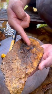 Spectacular Discovery of Thick Gold Veins Embedded in Quartz Rock #spectacular #discovery #quartz #goldnugget #goldrush #goldhunting #goldprospecting #goldveins #GoldInvestment #PUREGOLD #fyp #viral | Nepri Andries