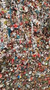 1.3M views · 10K reactions | విచిత్రమైన ఆచారం  Telugu Vlogs From USA touring gumwall in seattle where streets walls are filled with colorful flavours of gum. USA Telugu Vlogs #Telugu #Travel #gum #gumwall #Teluguvlogs #TeluguVlogsFromUSA #usateluguvlogs #USARaja #USA #usarajateluguvlogs #teluguvlog #America #Telugu #Vlogs #TeluguShorts #Shorts #Reels #TeluguReels | USA RAJA Telugu vlogs | Facebook