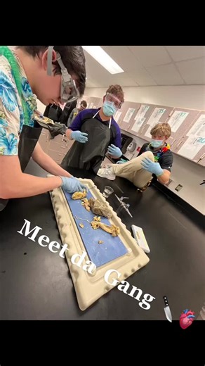 Your local sheep dissectors. Sheeps pluck loading…#anatomy #DeserveADrPepperDuet #AEMembersAlways #WomenOwnedBusiness