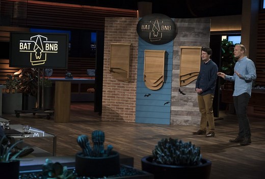 BatBNB: What Happened To Bat Houses After $100k Shark Tank Deal