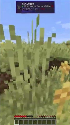 I wasn't expecting that scare #shorts #minecraft #explore&create #lobezno236