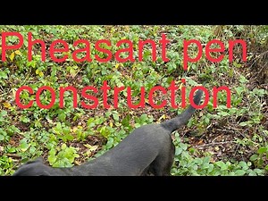 Building a pheasant pen #gamekeeping #shooting