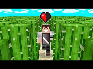 I'M ESCAPEING THE CACTI MAZE WITH HALF A HEART in Minecraft!