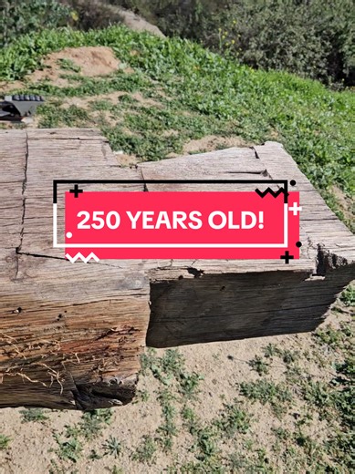 Discovering 250-Year-Old Historic Barn Wood