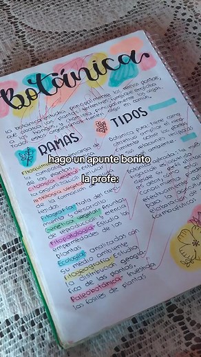 Beautiful Note Taking Techniques in Lettering Styles