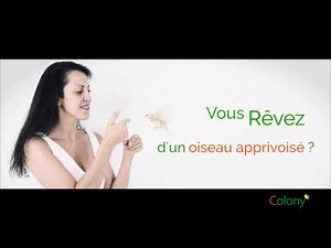 Vous rêvez d'un Padda apprivoisé ?