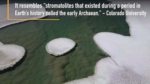 Discovery Of Lagoon In Argentina That Could Provide 'Earliest Signs Of Life' On Earth