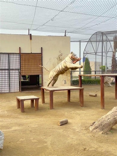 Discover the Agha Zha Housing Project Benefits