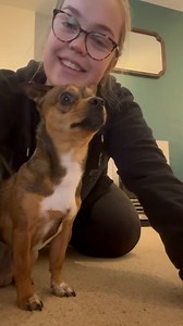 1.4K views · 4 comments | Get ready to put your best paw forward with our tail-wagging Dog Training Hub  Whether you have just got a new puppy, or have a seasoned senior pooch, we're here to help you em-bark on your training journey together: https://www.animalfriends.co.uk/pet-tools-and-resources/dogtraining/ #DogTraining #DogTraining101 #PuppyTraining | Animal Friends Pet Insurance | Facebook