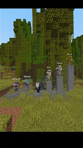 Which Pickaxe is FASTER? #minecraft