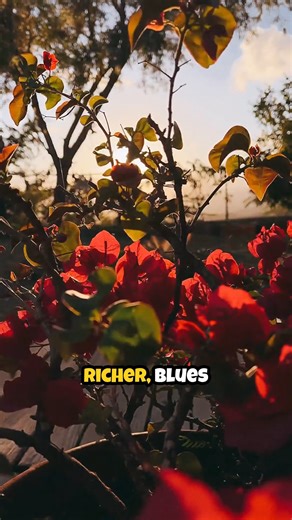 London never looked this vivid. At Precision Vision London, LASIK isn’t just about sharper vision—it’s about transforming how you experience the world. After LASIK, some patients describe reds that feel richer, blues that seem deeper, and greens so vivid they almost glow. It’s not that you couldn’t see before… it’s that now you can truly see. In rare cases, subtle shifts in colour perception happen when the reshaped cornea changes how light reaches your retina. The result? Walking through London