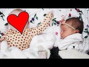 BABY HALSTON'S NEW BEST FRIEND!