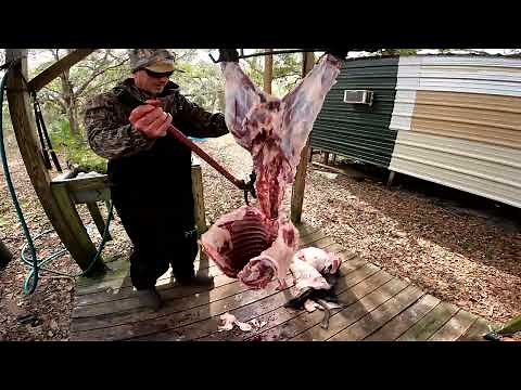 How to Clean and Quarter a Wild Hog (Tricks You Won't See Anywhere Else)
