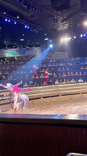 Balancing on a Moving Horse Inside the Arena 😳 | Stampede Show