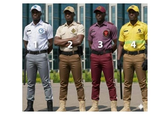 Here are the approved Ghana Police uniforms for private security