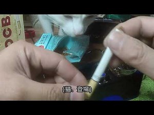 [使ってみた] 自動タバコ巻き機 (with ねこ) I tried it out!! Electric Cigarette Injector Machine (with cat)