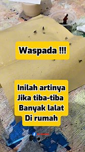 151K views · 975 reactions | Inilah artinya lalat di rumah #mitos #fakta #misteri #Kepercayaan #keyakinan | Ide rumahan | Facebook