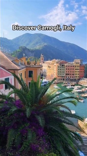Discover Camogli, Italy