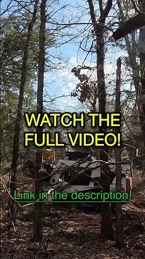 My 1 Week Experiment with BOBCAT T870 Mulching Changed Everything