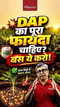 Want the full benefits of DAP? | How to apply fertilizer 10-15 days later | Crop Nutrition | Agro...