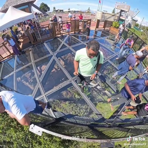 Découvrez le Grand Bassin à La Réunion